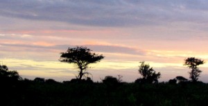 african twilight