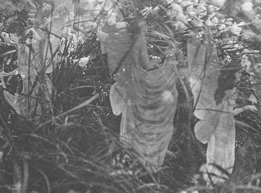 are fairies real
