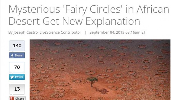 african fairy rings