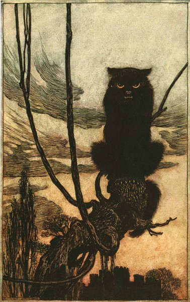 rackham cat