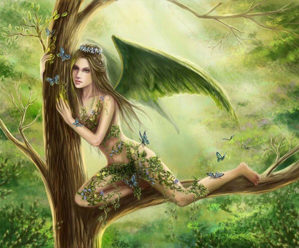tree-fairy