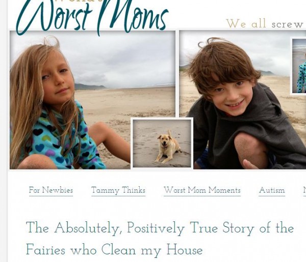 true story fairies clean my house
