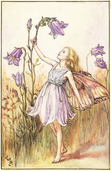 flower fairy