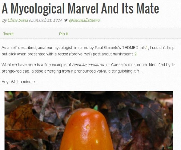 mycological marvel